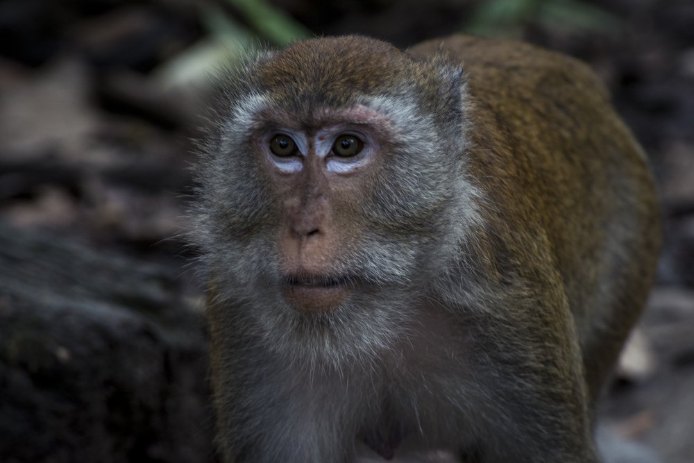 Фотография автора Cristian Dunivicher