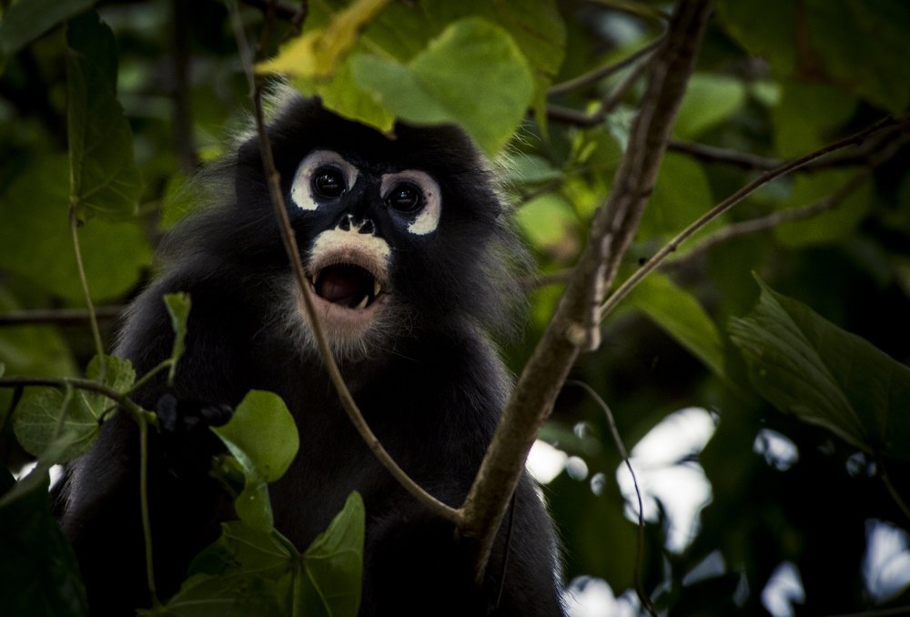 Фотография автора Cristian Dunivicher