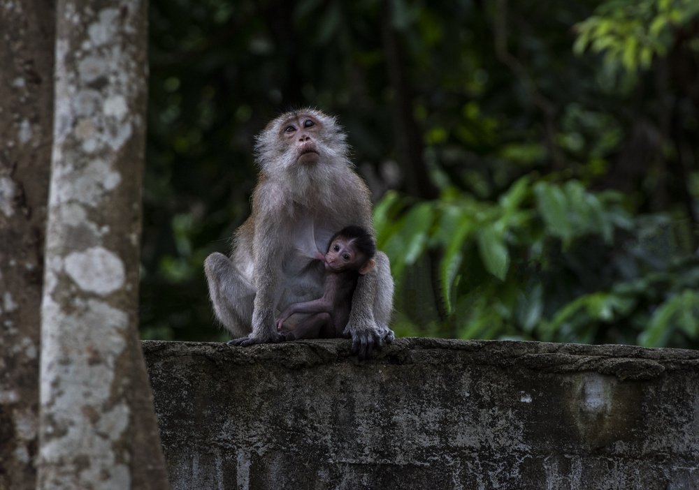 Фотография автора Cristian Dunivicher