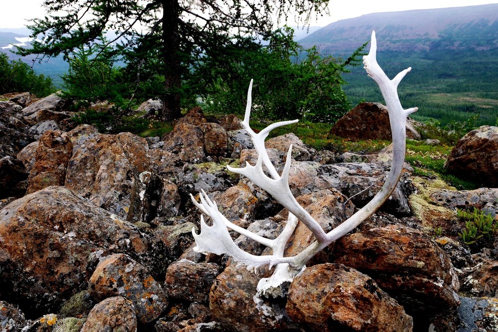 Следы прошлого