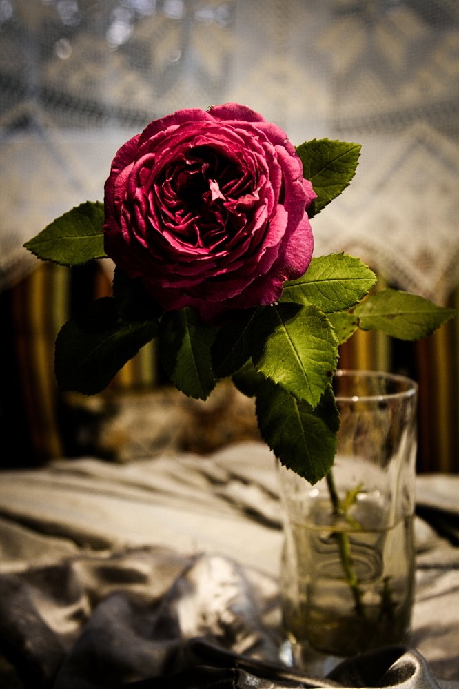 Photograph by Ольга Корчагина