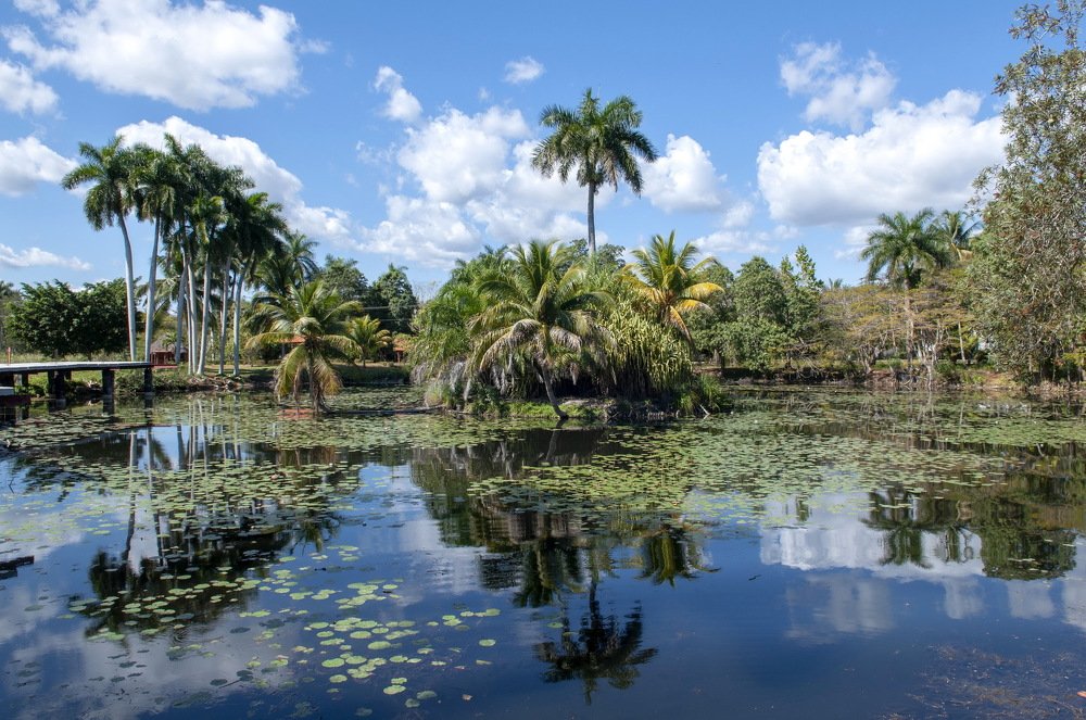 Photograph by Denis Starchikov