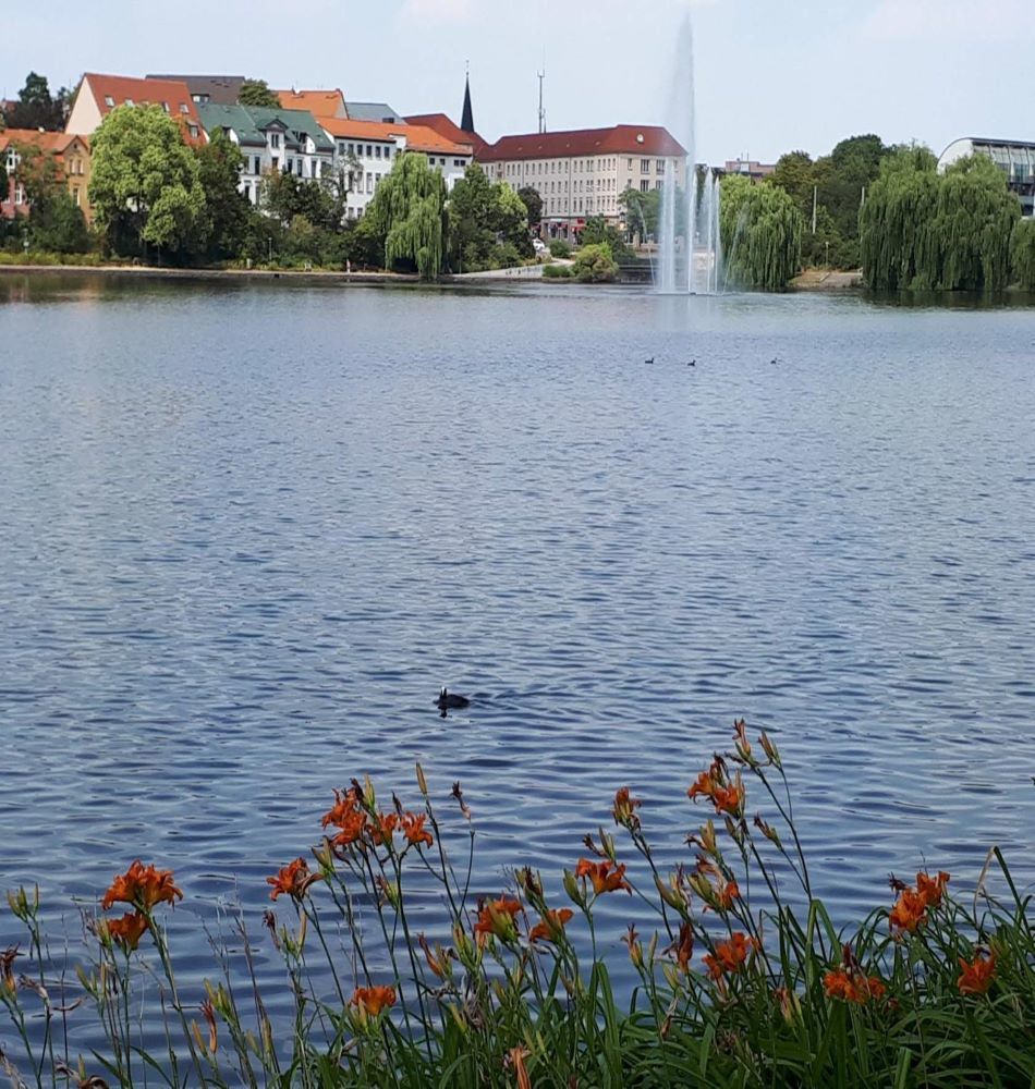 Городской пруд в Мерзебурге.Германия
