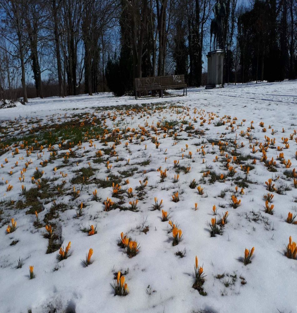 Парк замка Мерзебург.Германия