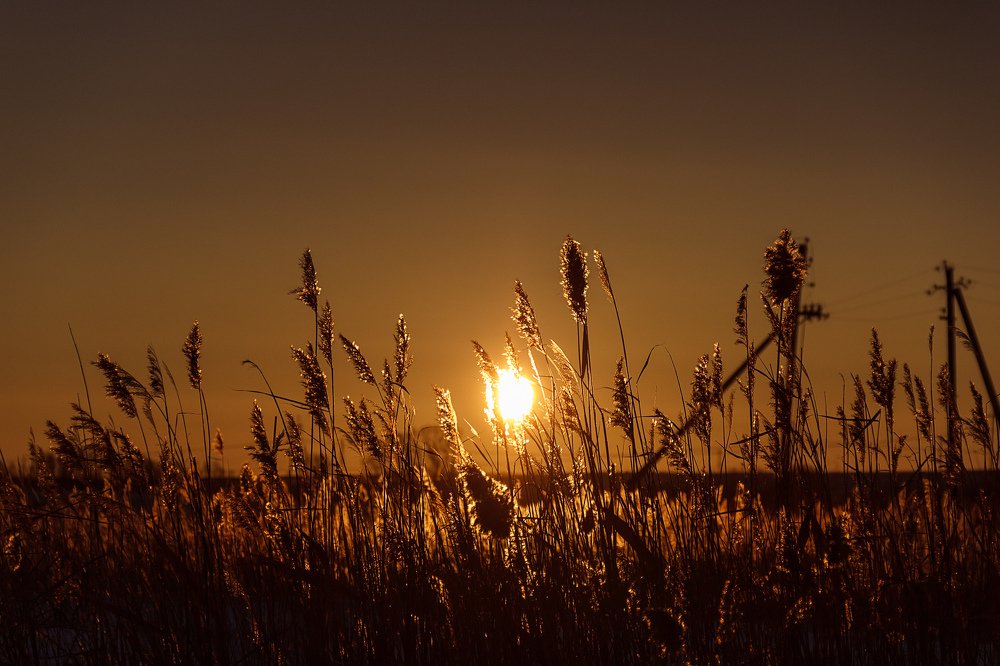 Photograph by Valentin Okulov