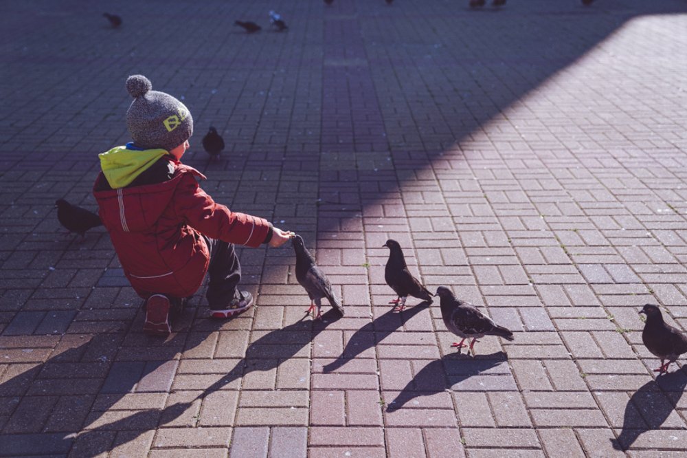 Photograph by Юлия Вьюгина