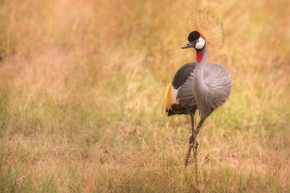 Photograph by Ольга Петруша
