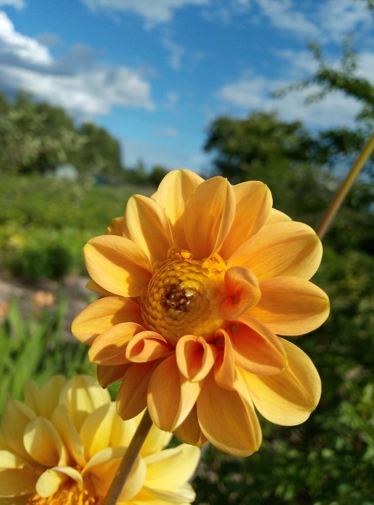 Photograph by Елизавета Цвелодуб