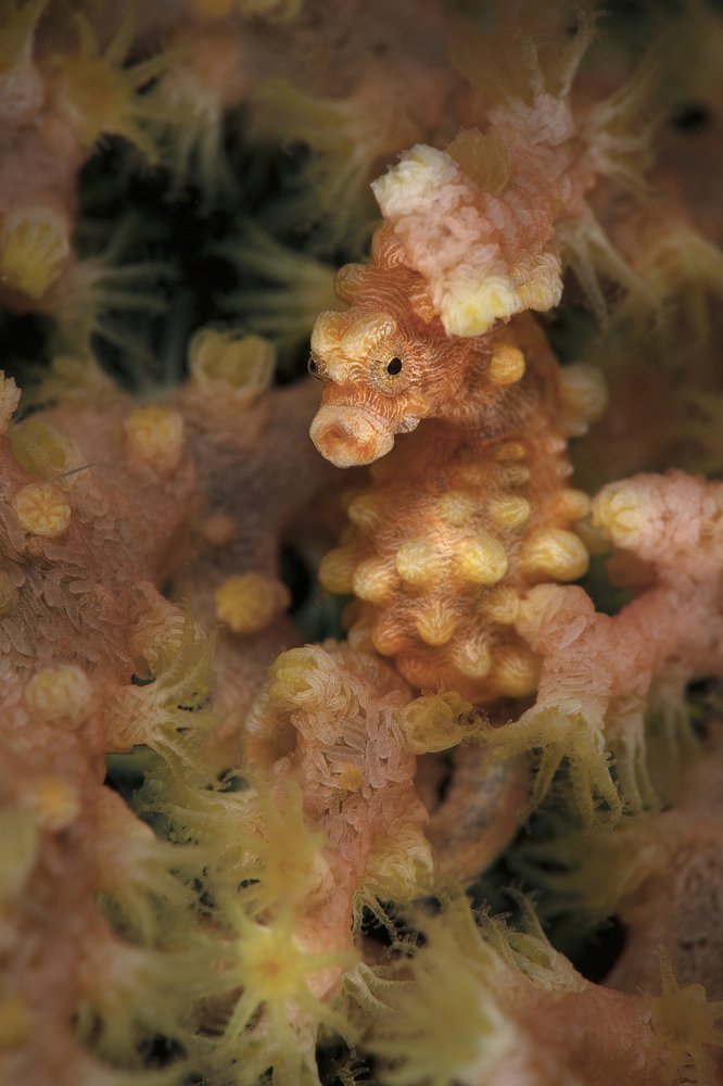 Photograph by Oksana Maksymova