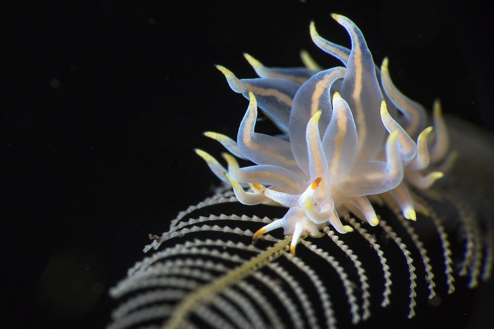 Photograph by Oksana Maksymova