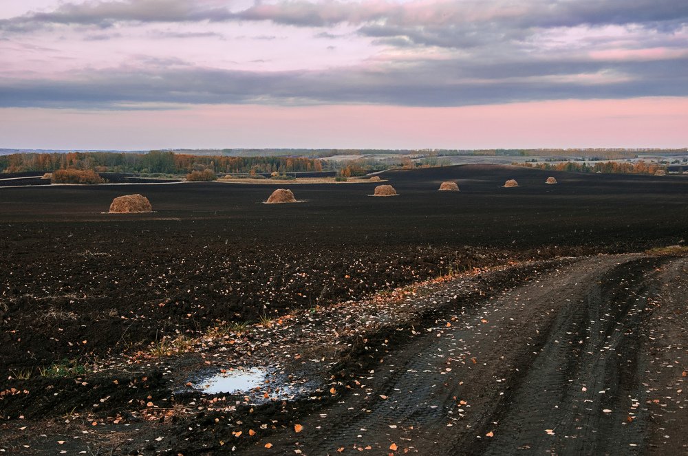 В полях молчанье,тишина...