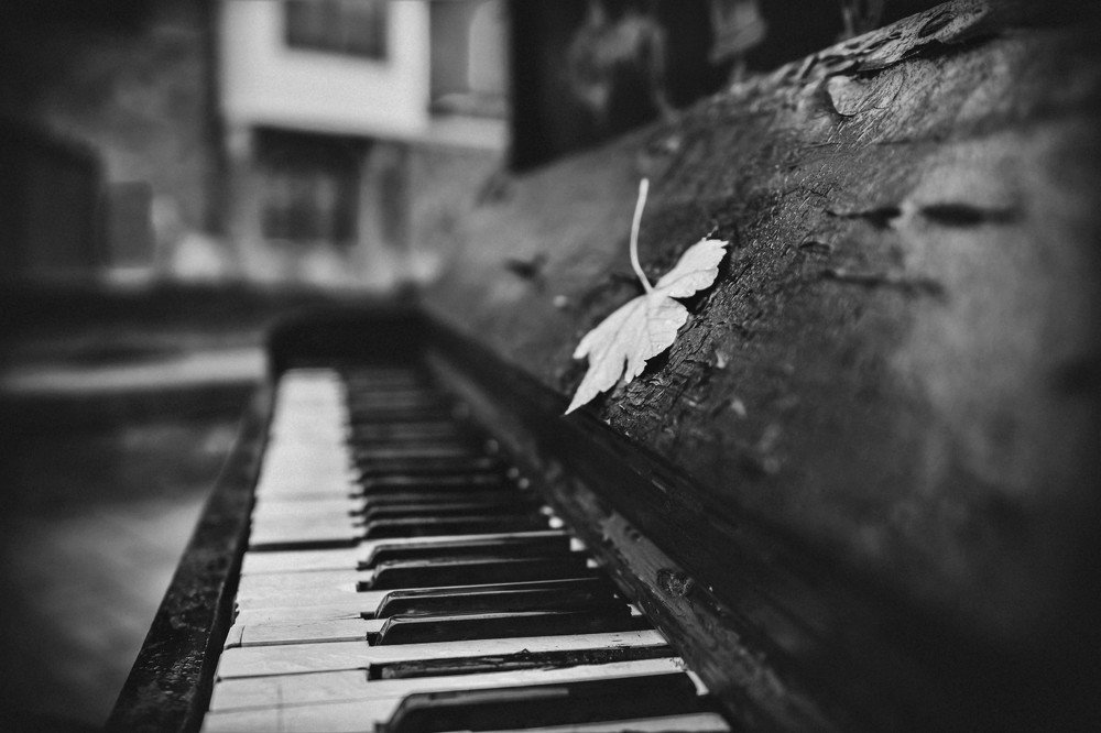 Photograph by Миленькая Наталья