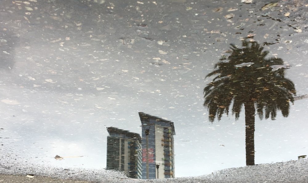 Reflection in puddle