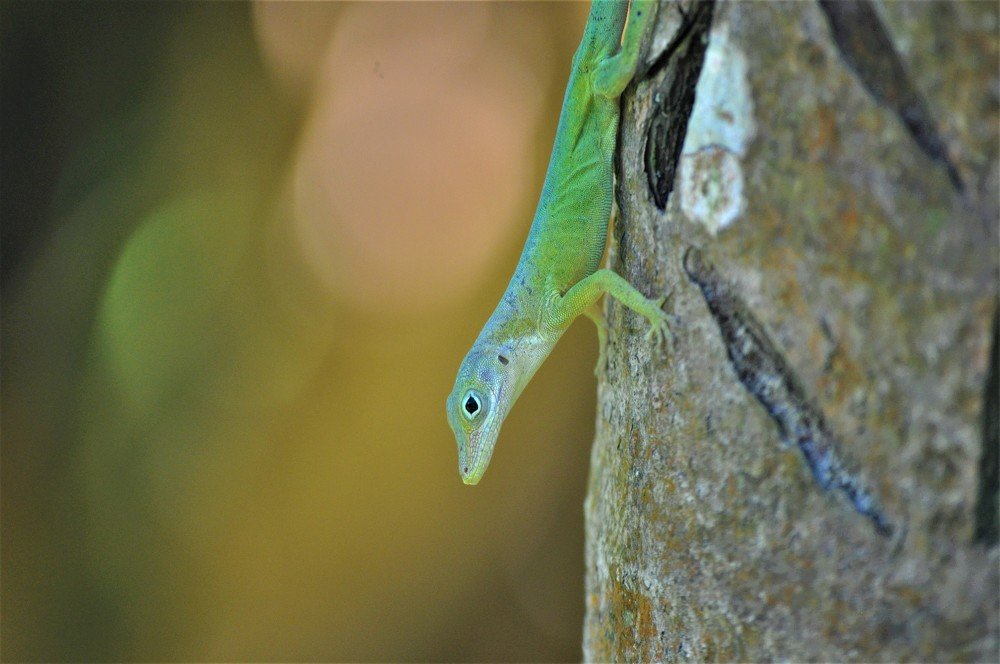 Photograph by stefanini alexis