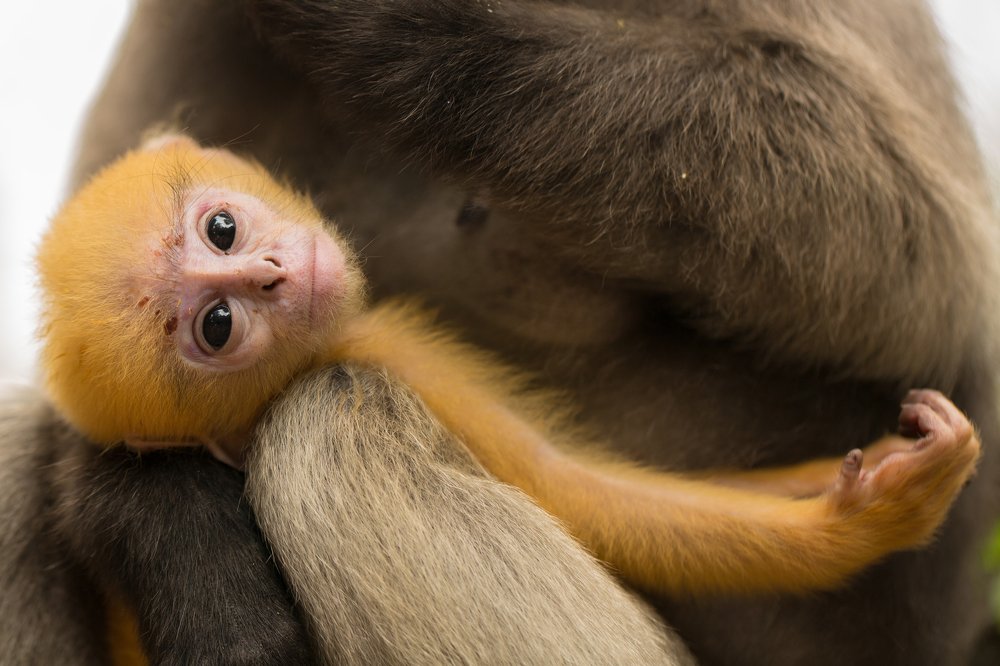 Photograph by Stranger Ksenia