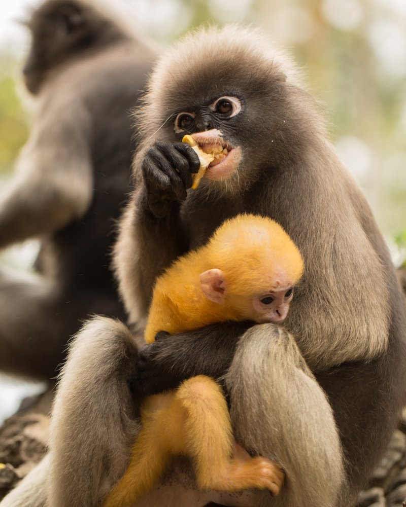 Photograph by Stranger Ksenia