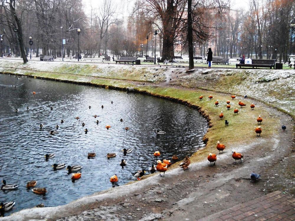 Photograph by Анна Цымбал