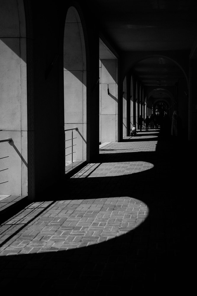Photograph by Арсений Самогоров
