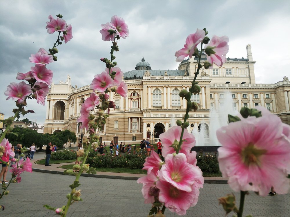 Photograph by Светлана Харчук