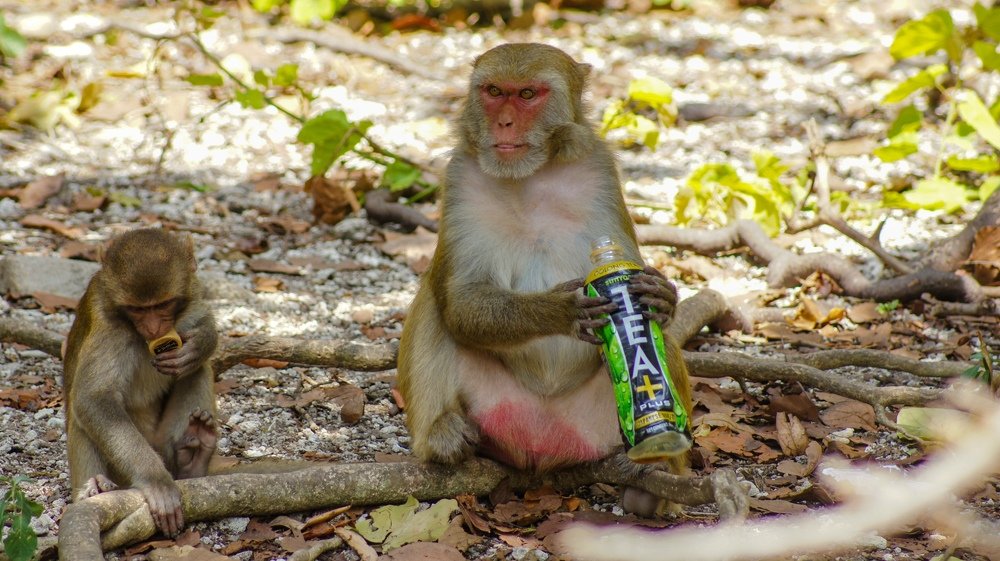 Photograph by Антон Яркин