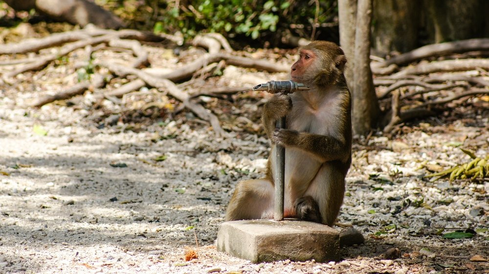 Photograph by Антон Яркин