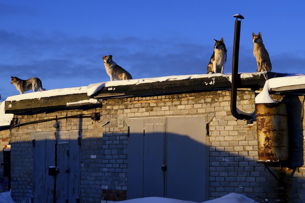 Photograph by Геннадий Субач