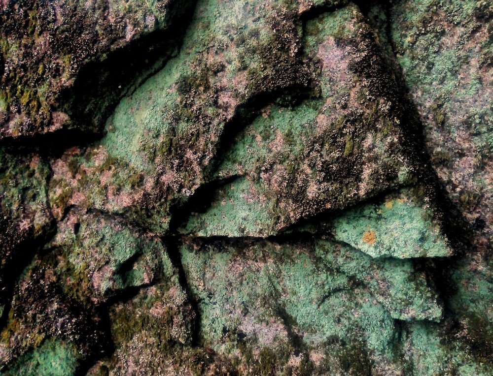 Photograph by João Vitor Caetano