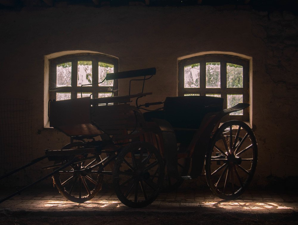 Photograph by Денис Кошкин