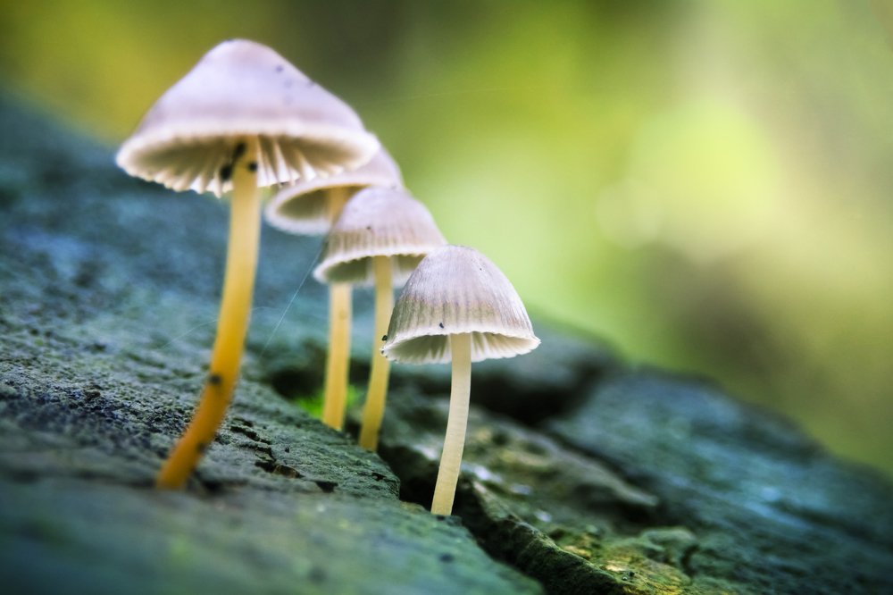 Photograph by Андрей Пожидаев