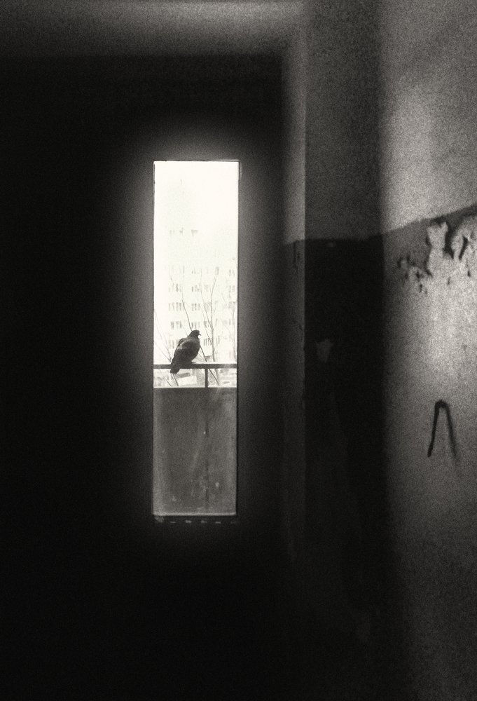 Photograph by Сергей Москалянов