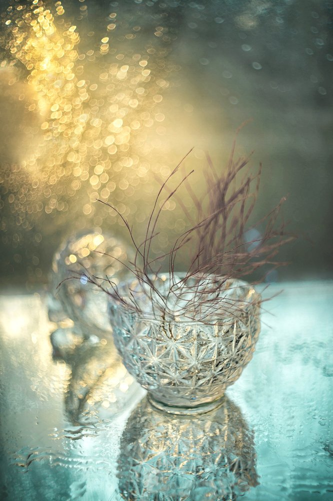 Photograph by Виктория Семернова