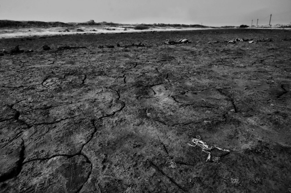 Photograph by Monidipta Saha