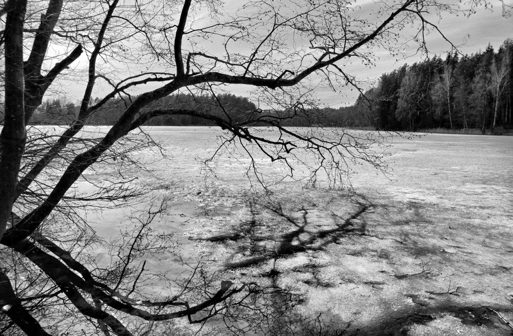 Фотография автора Анастасия Пищулова