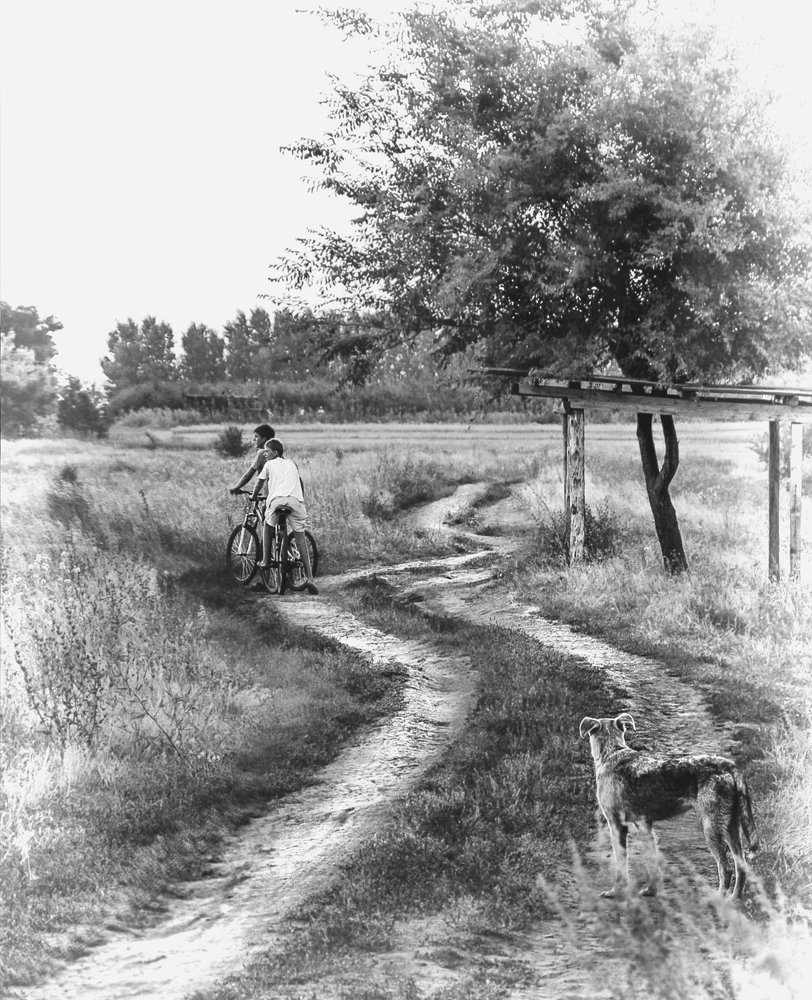 Photograph by Сергей Москалянов