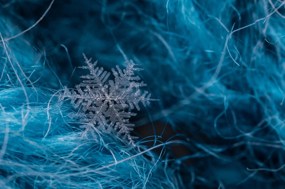 Путешествие к сердцу зимы