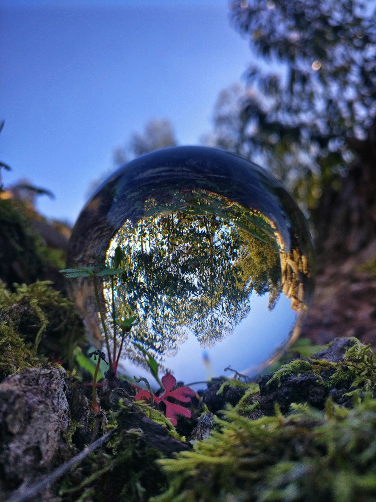 Photograph by Mário C.