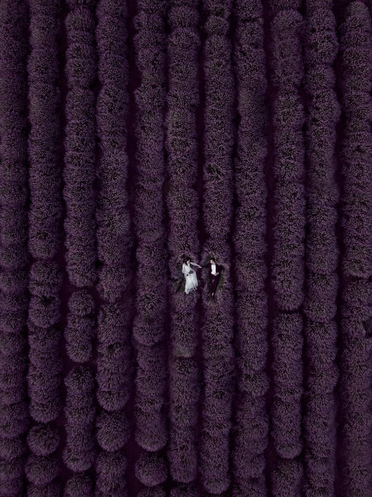 Lavander After Weeding Day