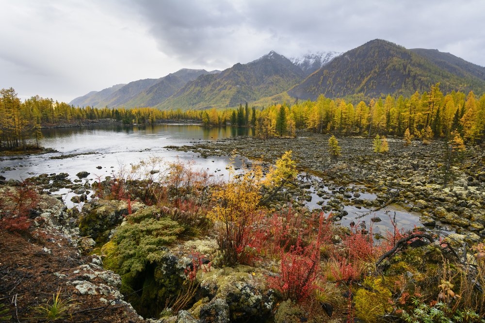 Краски осени