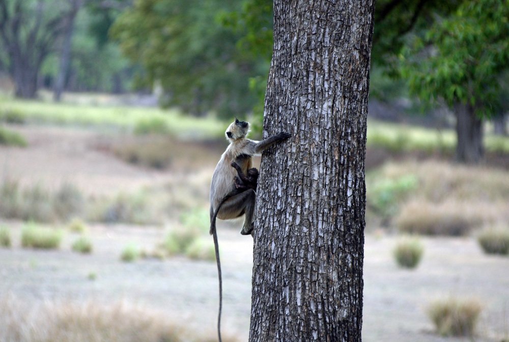 Photograph by prashant kharote