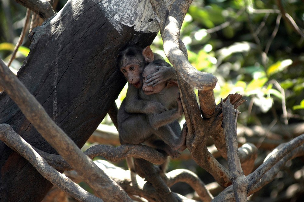 Photograph by prashant kharote