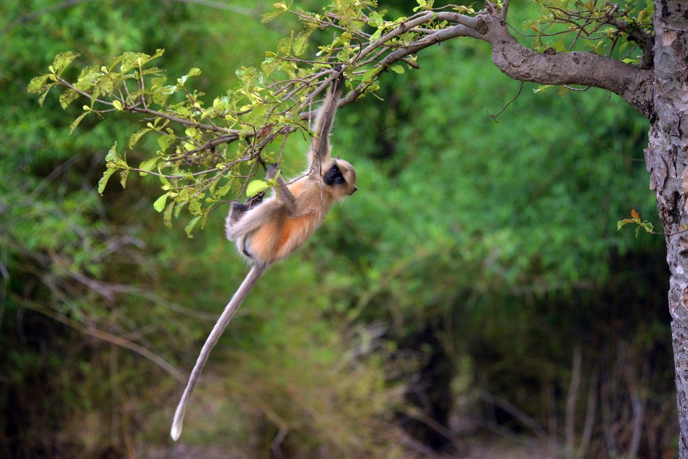 Photograph by prashant kharote