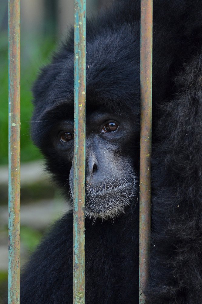 Photograph by Mulyanto Syafridel