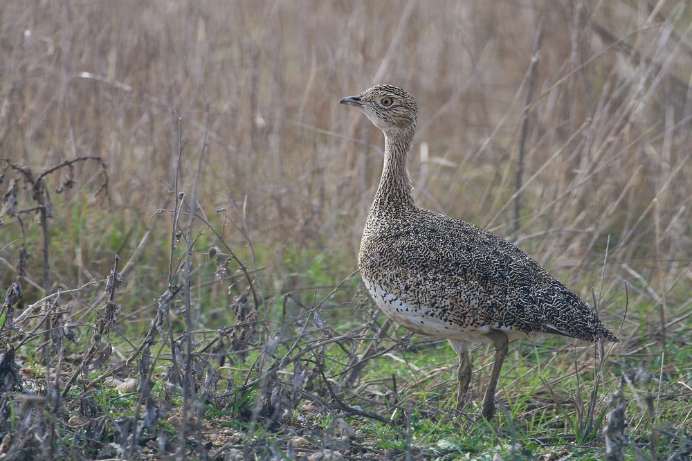 Photograph by Григорий Прокопов