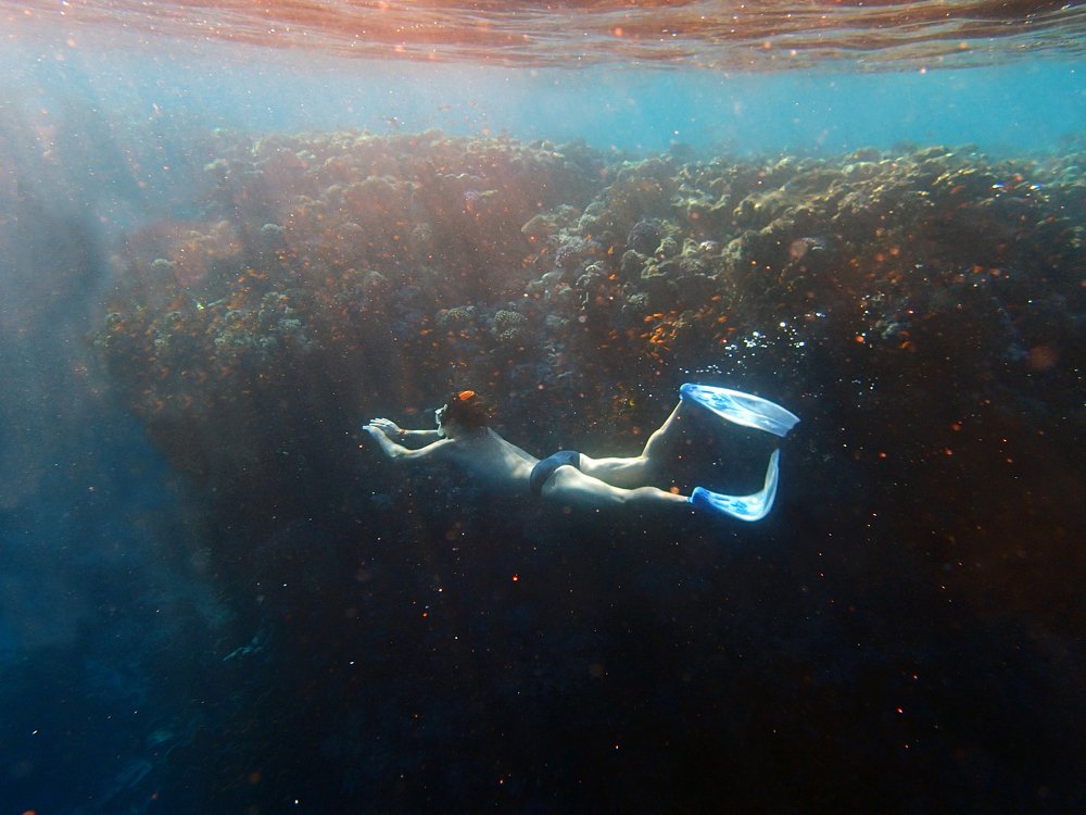 Photograph by Anna Koroleva