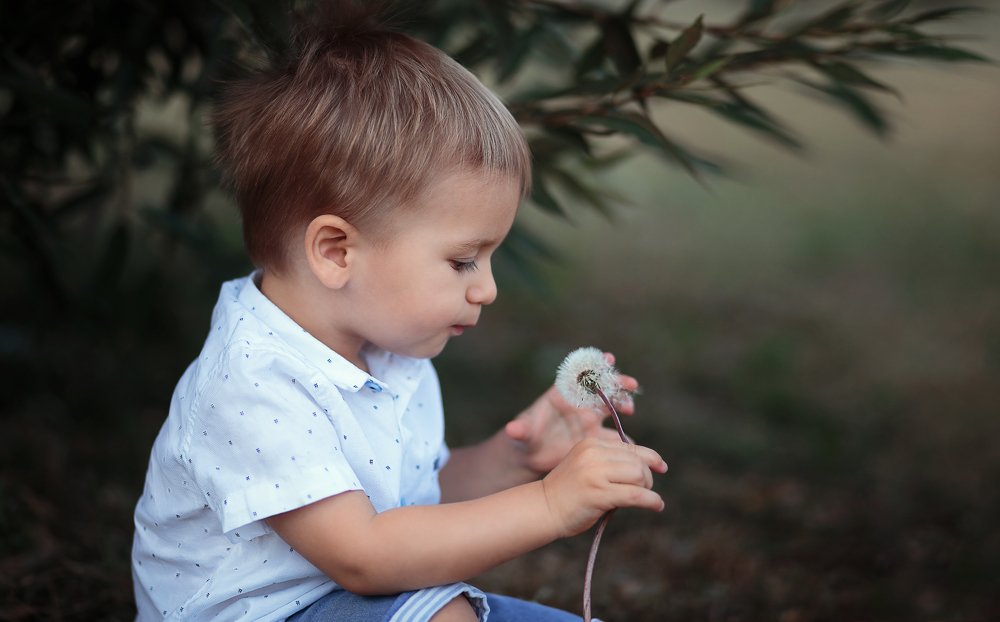 Photograph by анастасия колосова