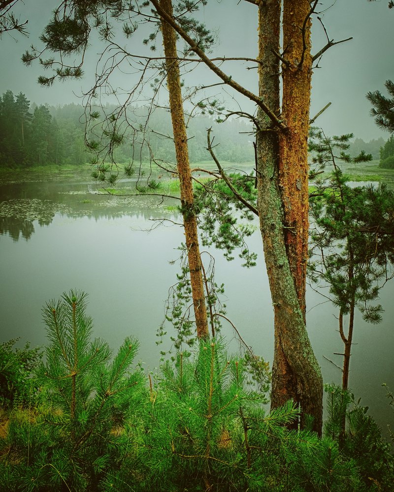 Символ верности