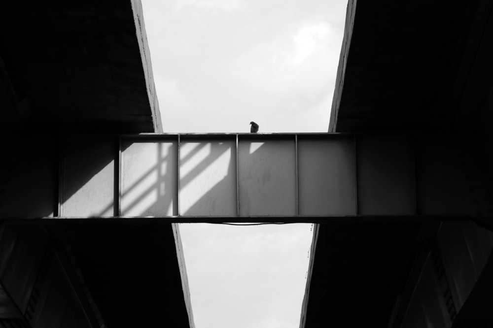 Photograph by mohamad adyalchi