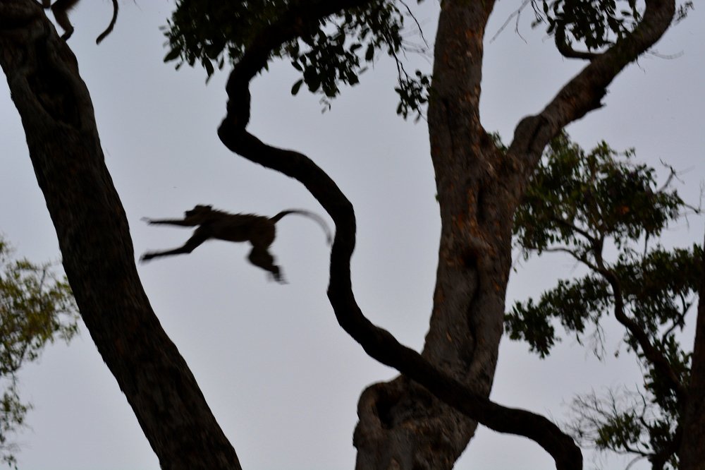 Photograph by Анатолий Орлов