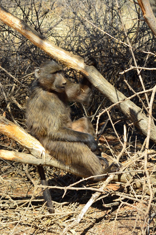 Photograph by Анатолий Орлов