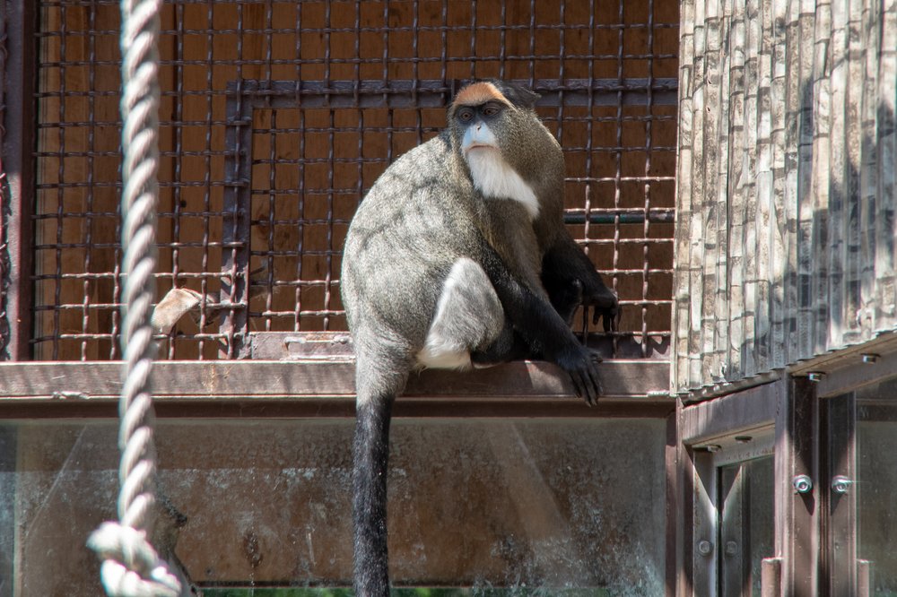 Photograph by Aleksandr Demidovsky